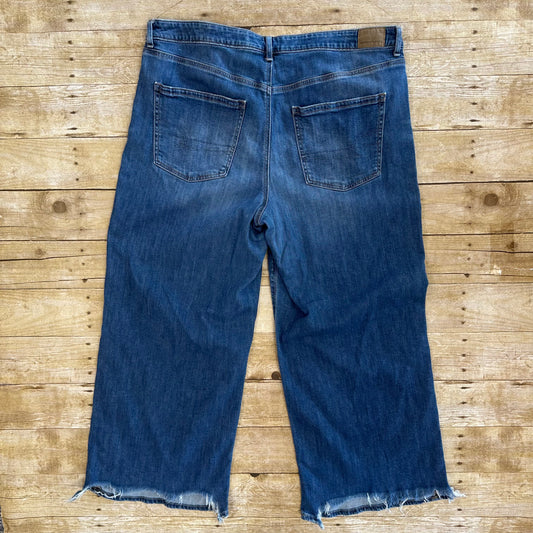 American Eagle 16 Low-Rise Baggy Wide Leg Jean