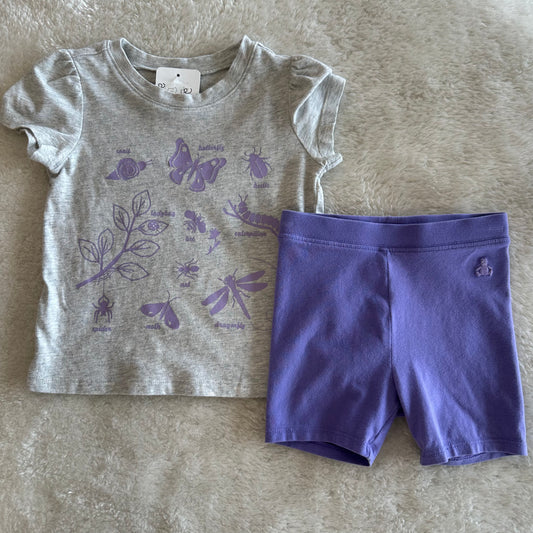 Girl Baby Gap 2y Purple/Grey Bugs Set