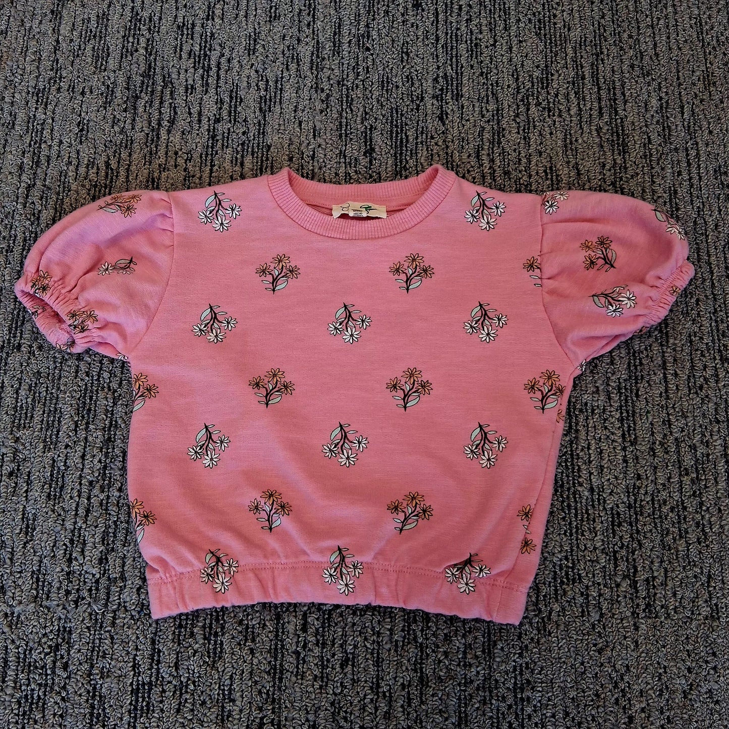 Kids Jessica Simpson 2T floral short sleeve sweatshirt