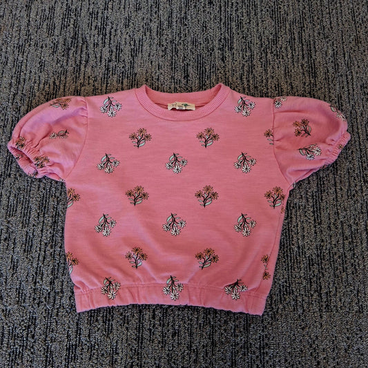 Kids Jessica Simpson 2T floral short sleeve sweatshirt
