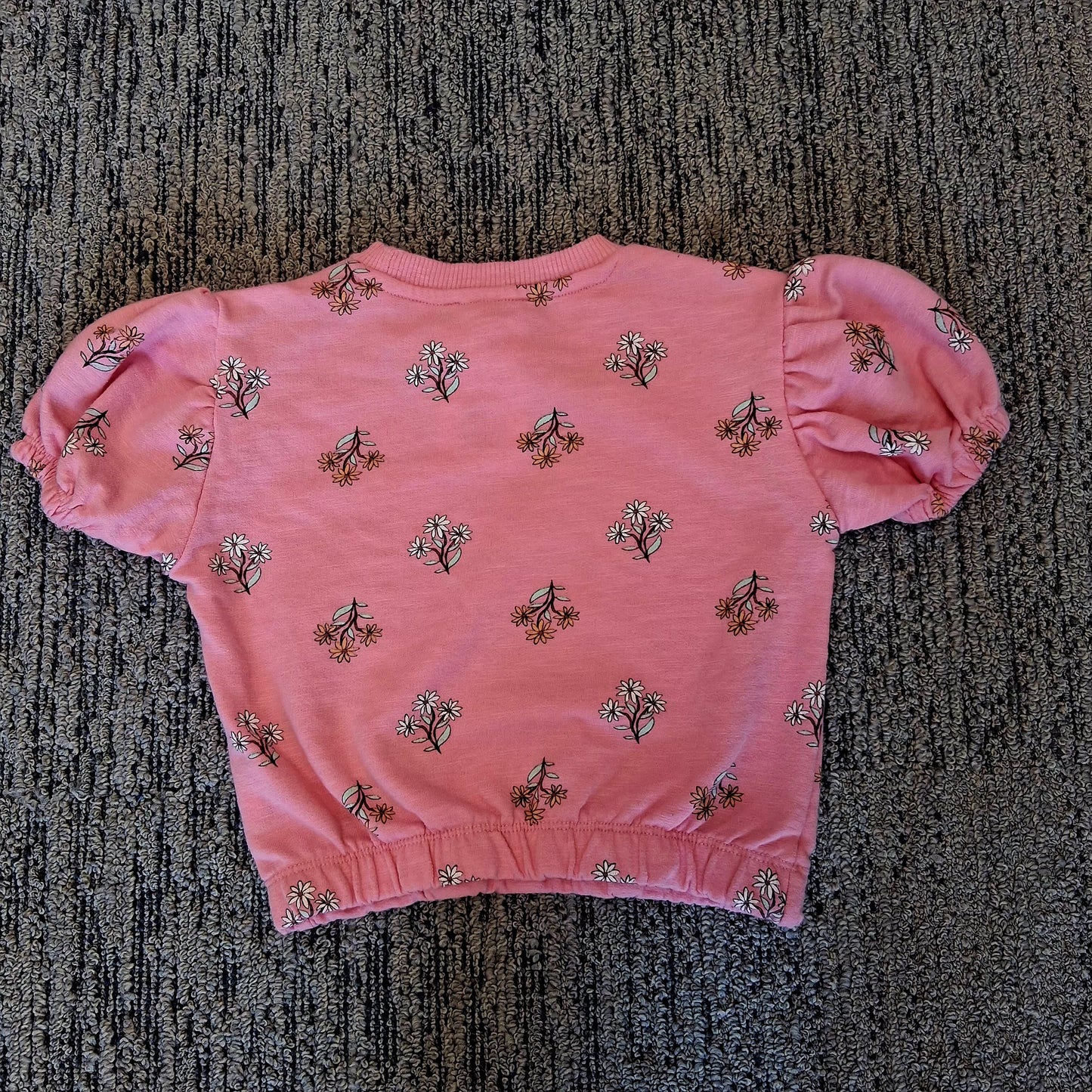 Kids Jessica Simpson 2T floral short sleeve sweatshirt